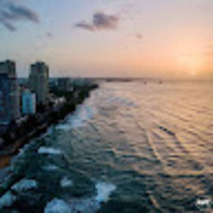 Meet your Posher, Dexter